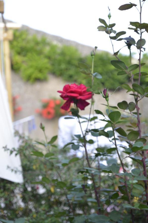 Le Clos Des Pommes Bioncourt المظهر الخارجي الصورة