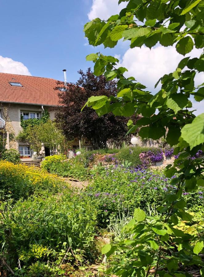Le Clos Des Pommes Bioncourt المظهر الخارجي الصورة